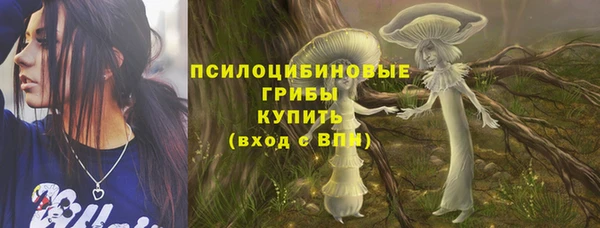 винт Нягань