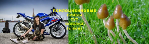 герыч Няндома