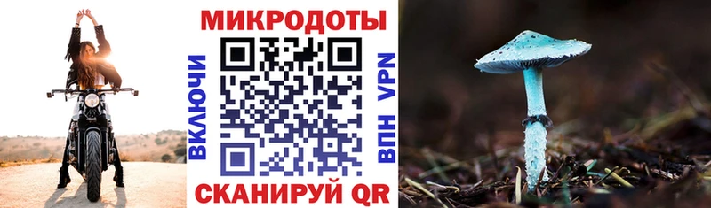 Купить где  Тайшет  Псилоцибиновые грибы мицелий 